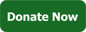 donate now